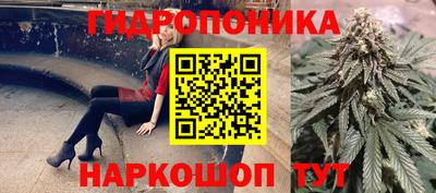 индика Конаково