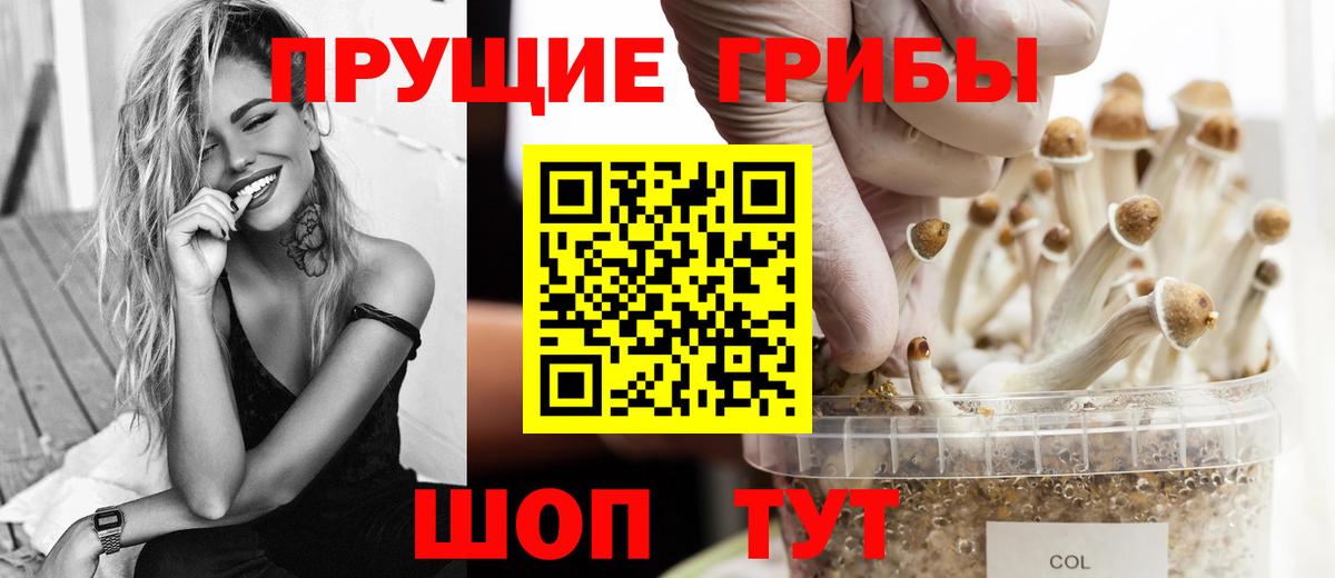 Каспийск  Псилоцибиновые грибы мицелий  Вход с VPN  Галлюциногенные грибы Psilocybine cubensis 